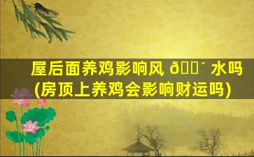 屋后面养鸡影响风 🌴 水吗(房顶上养鸡会影响财运吗)